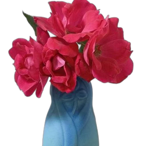 flower, crown, photorealistic, 3d render transparent PNG cut-out