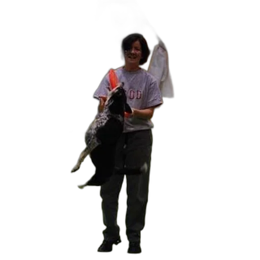 staff, animal, creature, weapon transparent PNG cut-out