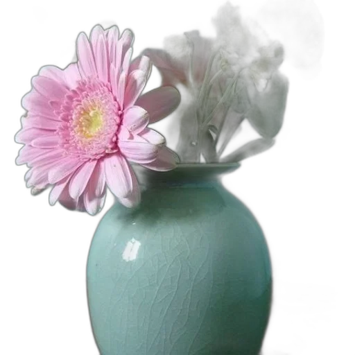 flower, bottle, jewelry, crown transparent PNG cut-out