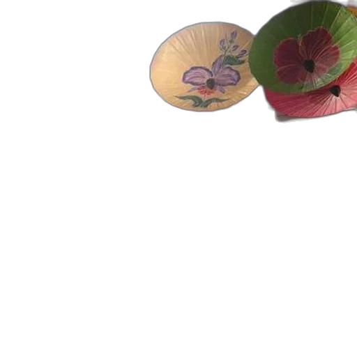 hat, jewelry, flower, umbrella transparent PNG cut-out