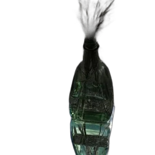 bottle, jewelry, hair, crown transparent PNG cut-out