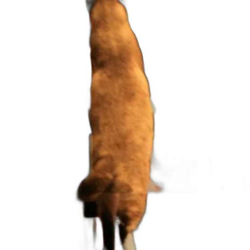 animal, staff, creature, umbrella transparent PNG cut-out