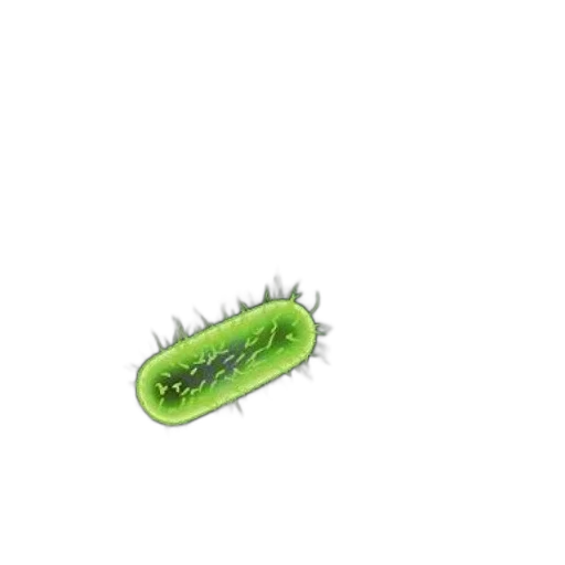 creature, animal, weapon, hair transparent PNG cut-out