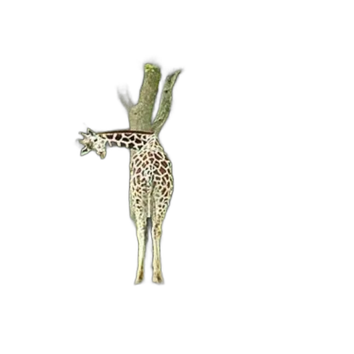 animal, creature, crown, staff transparent PNG cut-out