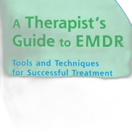 therapist, guide, emdr, tools transparent PNG cut-out