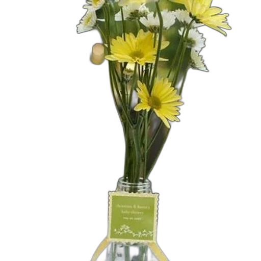 flower, crown, 3d render, photorealistic transparent PNG cut-out
