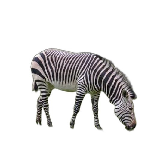 animal, creature, jewelry, furniture transparent PNG cut-out