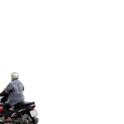 jacket, car, animal, hair transparent PNG cut-out