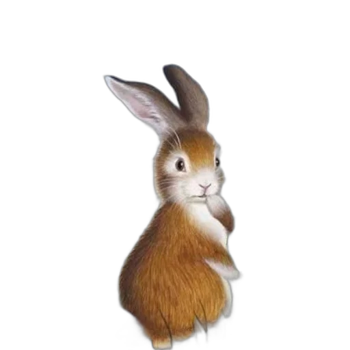 animal, creature, staff, hair transparent PNG cut-out
