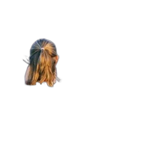 hair, mask, face, crown transparent PNG cut-out