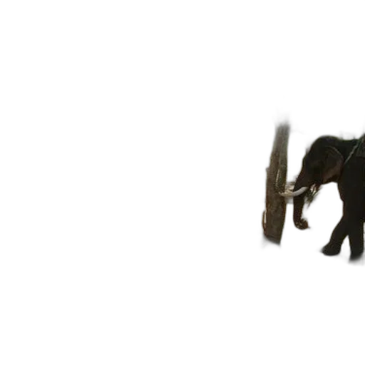 animal, weapon, creature, staff transparent PNG cut-out