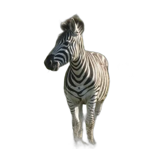 animal, creature, jewelry, staff transparent PNG cut-out