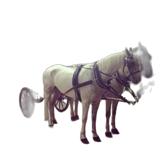 animal, weapon, robot, staff transparent PNG cut-out