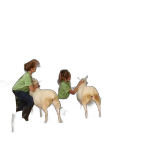 staff, animal, furniture, 3d render transparent PNG cut-out