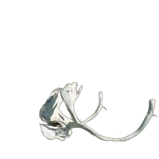 jewelry, staff, crown, mask transparent PNG cut-out