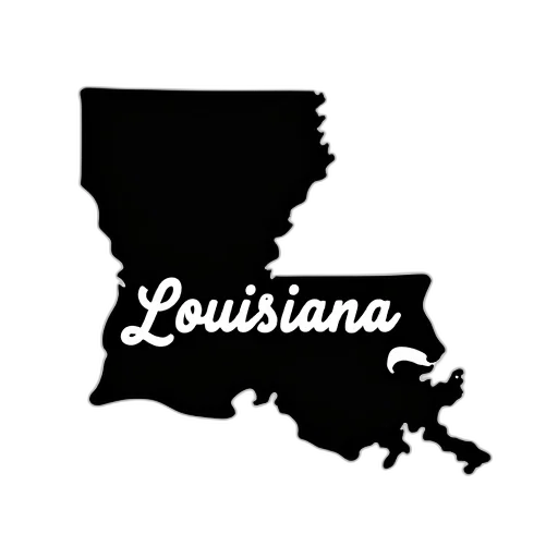 louisiana, state, outline, graphic transparent PNG cut-out