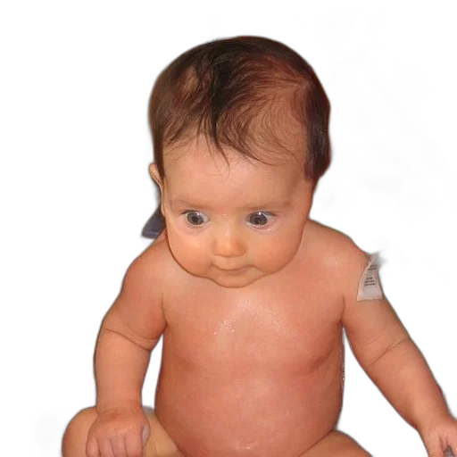face, hair, creature, animal transparent PNG cut-out