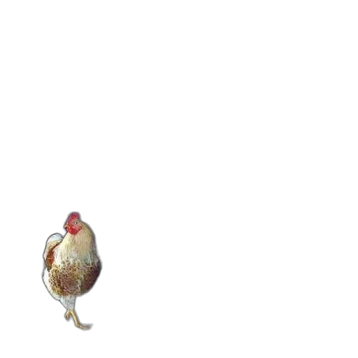 animal, food, creature, robot transparent PNG cut-out