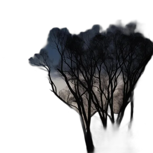 tree, umbrella, crown, mask transparent PNG cut-out