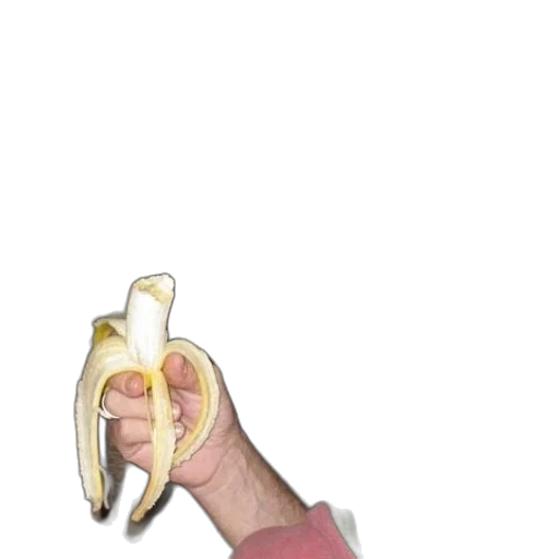weapon, food, jacket, animal transparent PNG cut-out