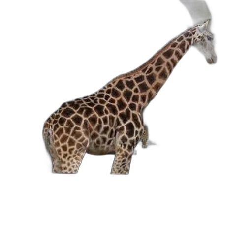 animal, creature, staff, weapon transparent PNG cut-out