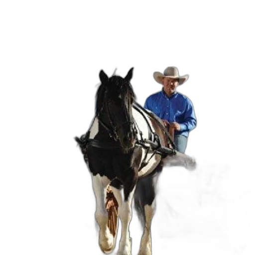 animal, staff, hat, jewelry transparent PNG cut-out