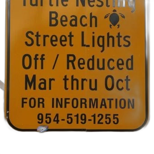 beach, neon lights, city street, yellow transparent PNG cut-out