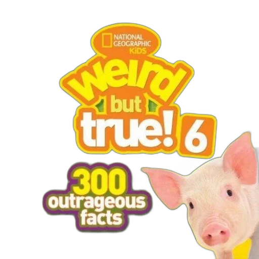 food, animal, 3d render, national transparent PNG cut-out