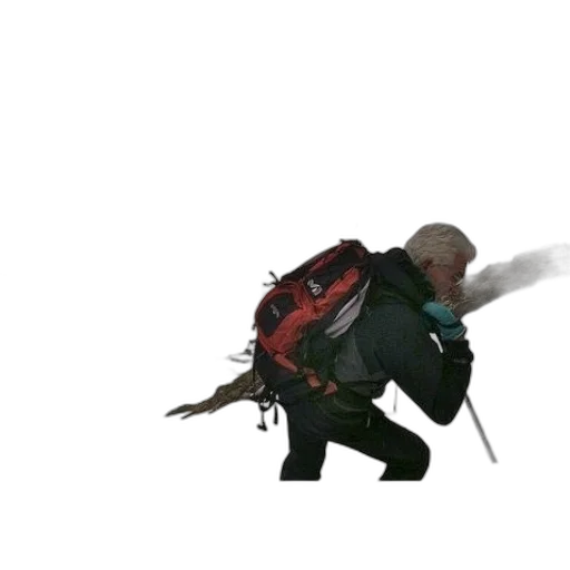 dragon, jacket, weapon, creature transparent PNG cut-out