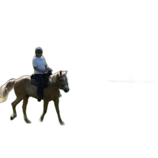animal, creature, staff, jacket transparent PNG cut-out