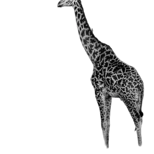 animal, staff, creature, jewelry transparent PNG cut-out