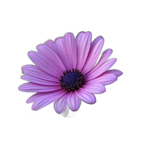 flower, jewelry, crown, staff transparent PNG cut-out