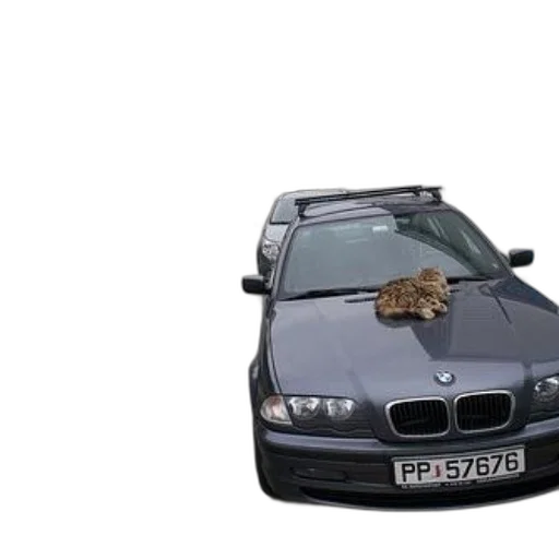 car, animal, weapon, dragon transparent PNG cut-out