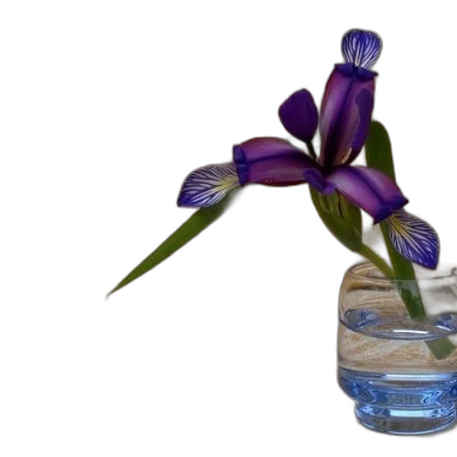 flower, bottle, crown, jewelry transparent PNG cut-out