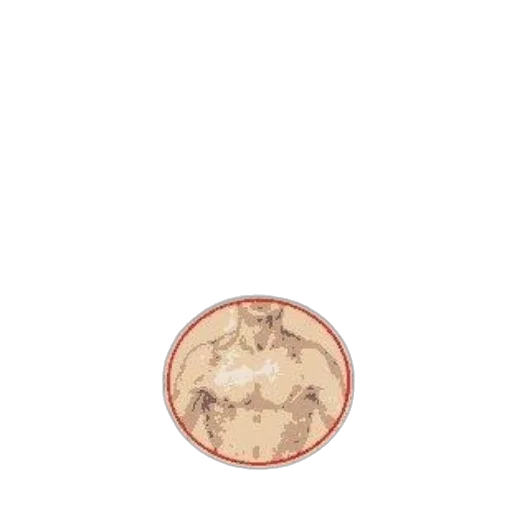 animal, jacket, jewelry, food transparent PNG cut-out