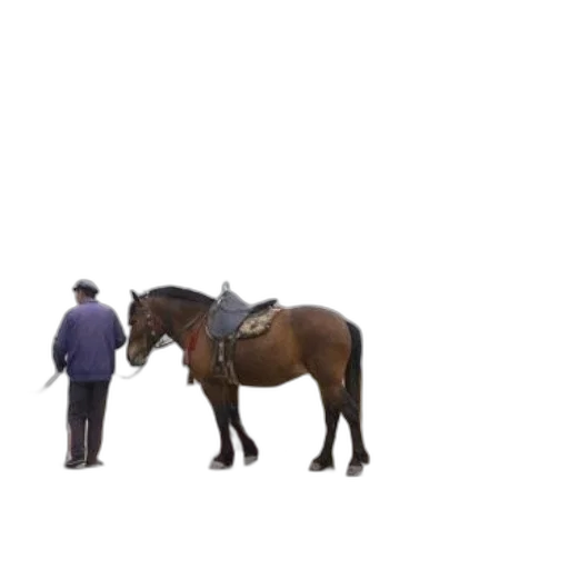 hat, animal, jacket, staff transparent PNG cut-out