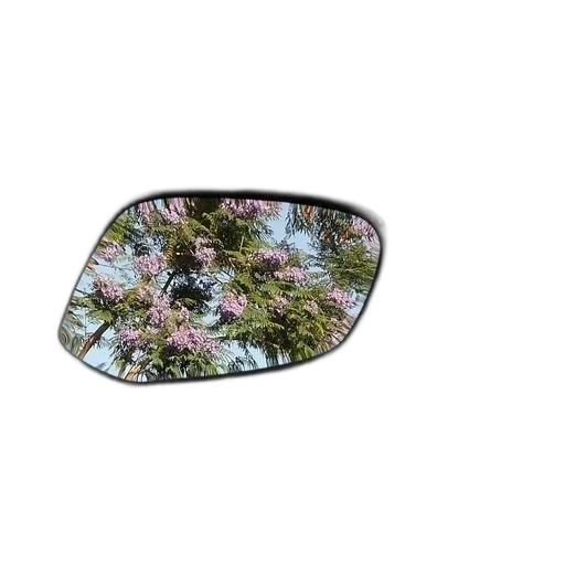 tree, car, face, flower transparent PNG cut-out