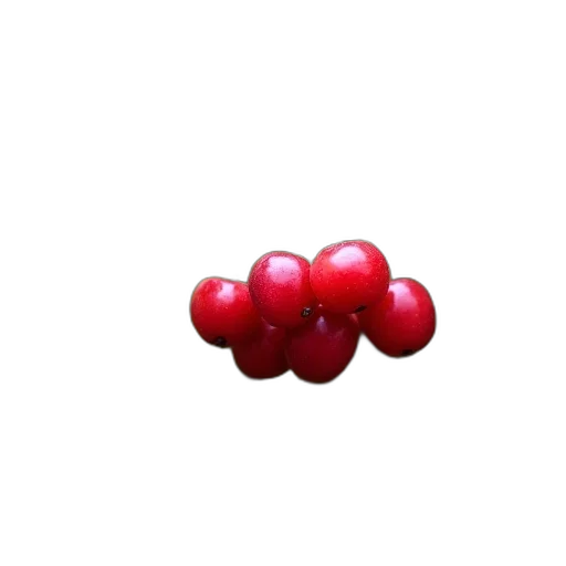 crown, food, jewelry, flower transparent PNG cut-out