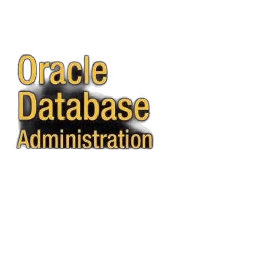 pro, oracle, database, 11g transparent PNG cut-out