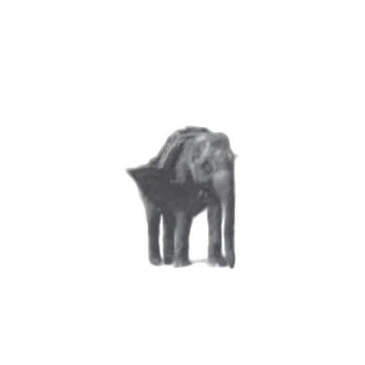 animal, creature, furniture, weapon transparent PNG cut-out