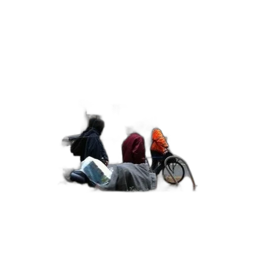 hat, animal, shoes, creature transparent PNG cut-out