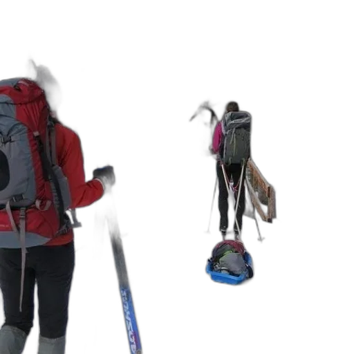 staff, creature, jacket, animal transparent PNG cut-out