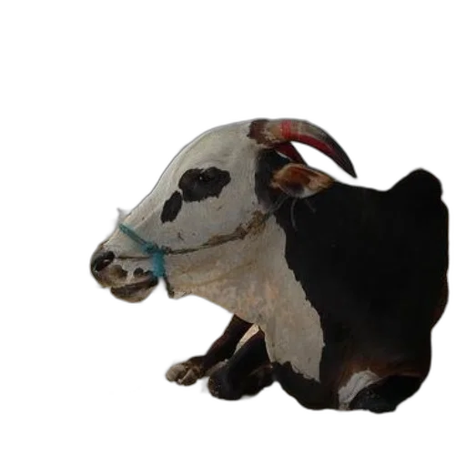animal, creature, mask, staff transparent PNG cut-out