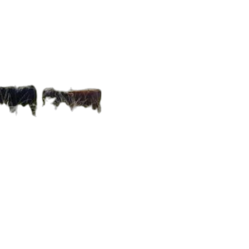 hair, animal, weapon, staff transparent PNG cut-out
