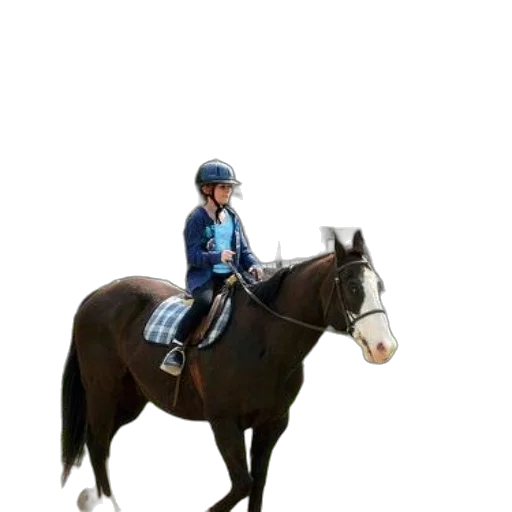 animal, jacket, staff, hat transparent PNG cut-out