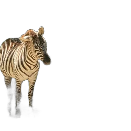 animal, creature, 3d render, concept art transparent PNG cut-out