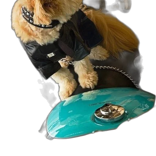 animal, jacket, staff, robot transparent PNG cut-out