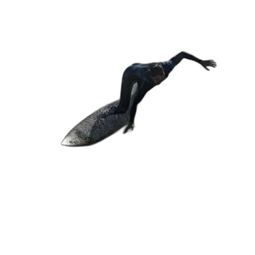 animal, staff, umbrella, creature transparent PNG cut-out