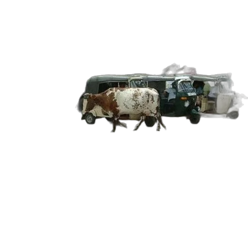car, animal, robot, jewelry transparent PNG cut-out