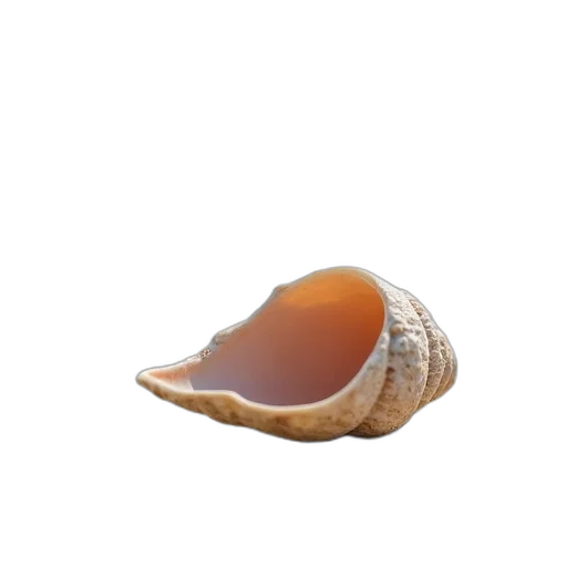 food, animal, hair, hat transparent PNG cut-out